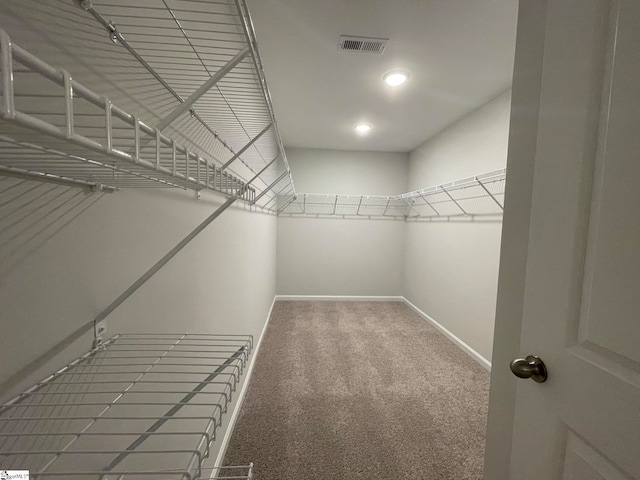 walk in closet with visible vents and carpet flooring