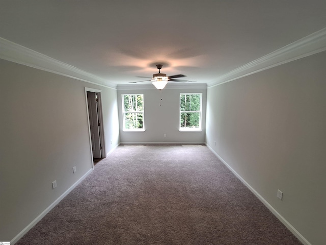 spare room with crown molding, ceiling fan, and carpet flooring