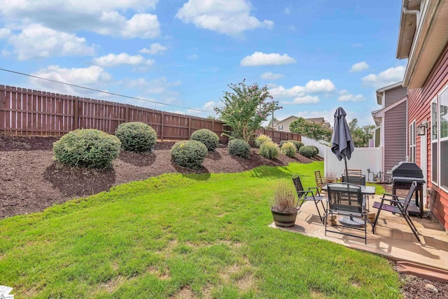 view of yard featuring a patio area