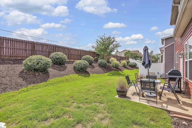 view of yard with a patio and a fenced backyard