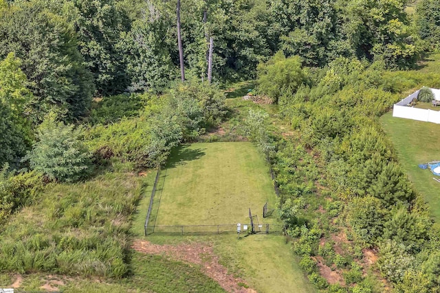 bird's eye view