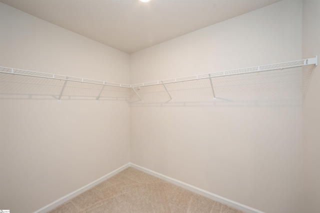 walk in closet with carpet