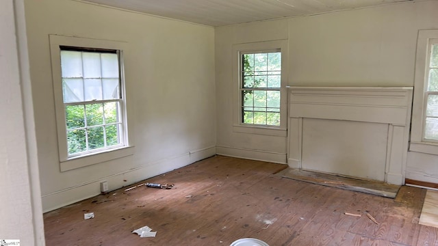 spare room with a wealth of natural light and hardwood / wood-style floors