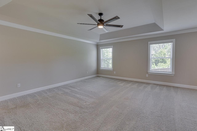 unfurnished room with a wealth of natural light, a raised ceiling, and baseboards