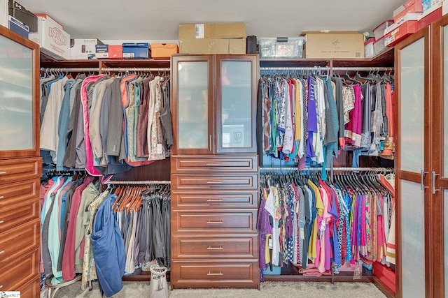 spacious closet featuring light carpet