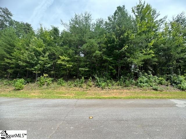 264 Jocassee Ridge Way, Salem SC, 29676 land for sale