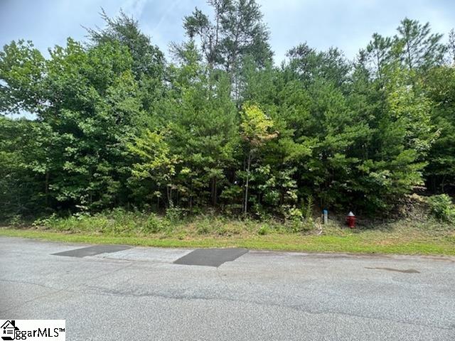 266 Jocassee Ridge Way, Salem SC, 29676 land for sale