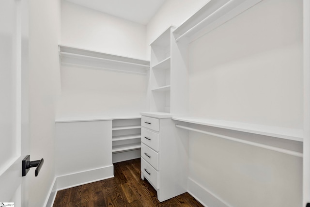 spacious closet featuring dark hardwood / wood-style floors