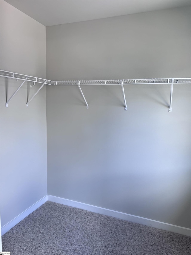 spacious closet with carpet