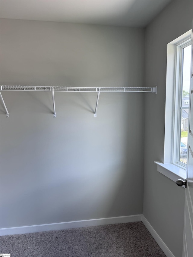 spacious closet with carpet floors