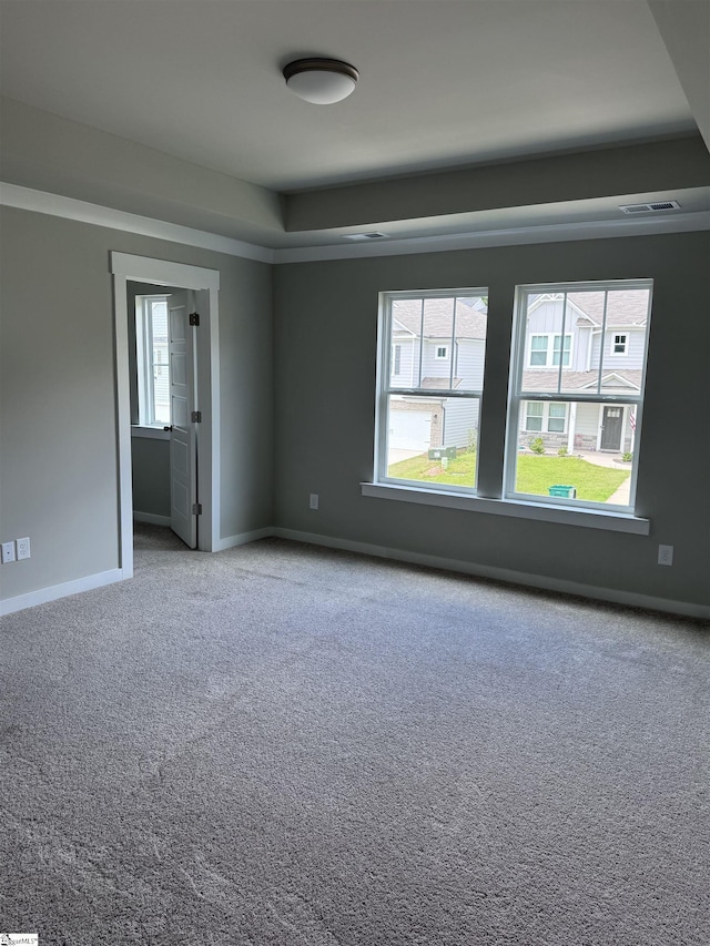 spare room with carpet floors