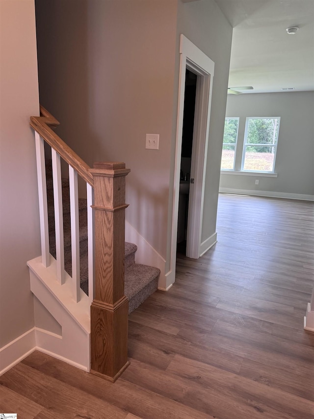 stairway with wood-type flooring