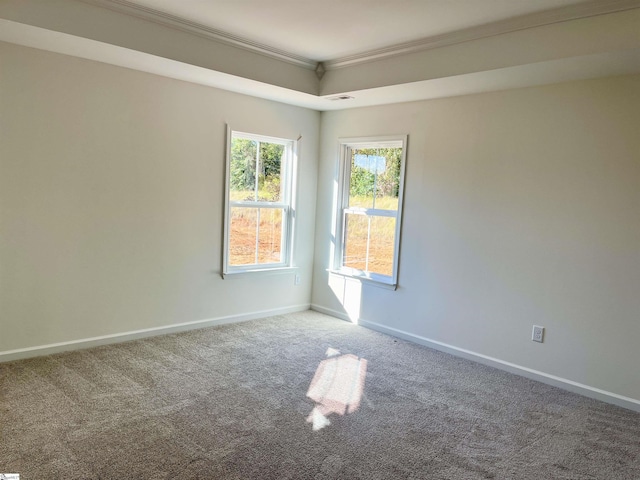 empty room with crown molding and carpet floors