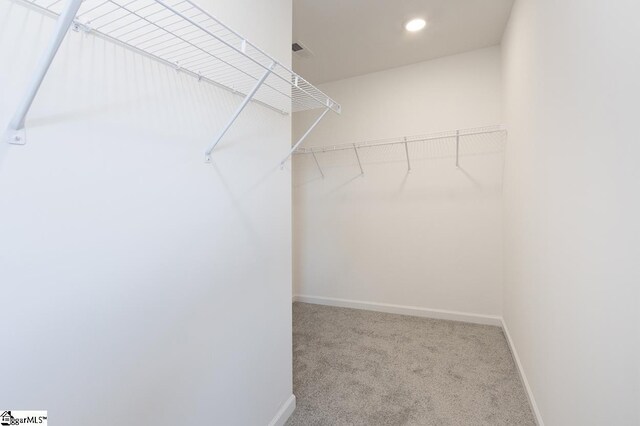 spacious closet featuring light colored carpet