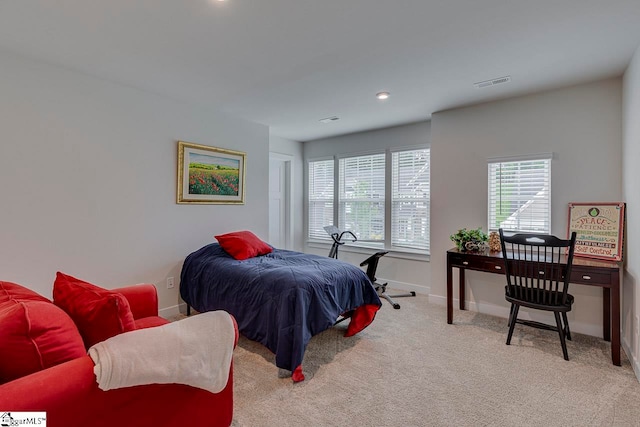 bedroom featuring carpet