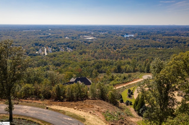 Listing photo 2 for 30 Grand Vista Dr Lot 5, Greenville SC 29609