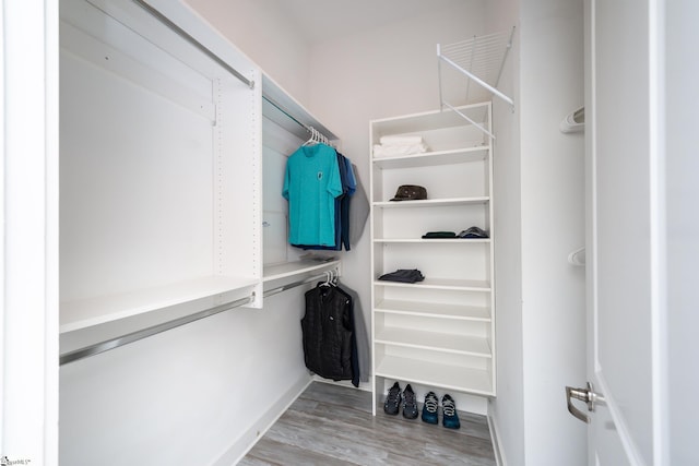 spacious closet featuring wood-type flooring