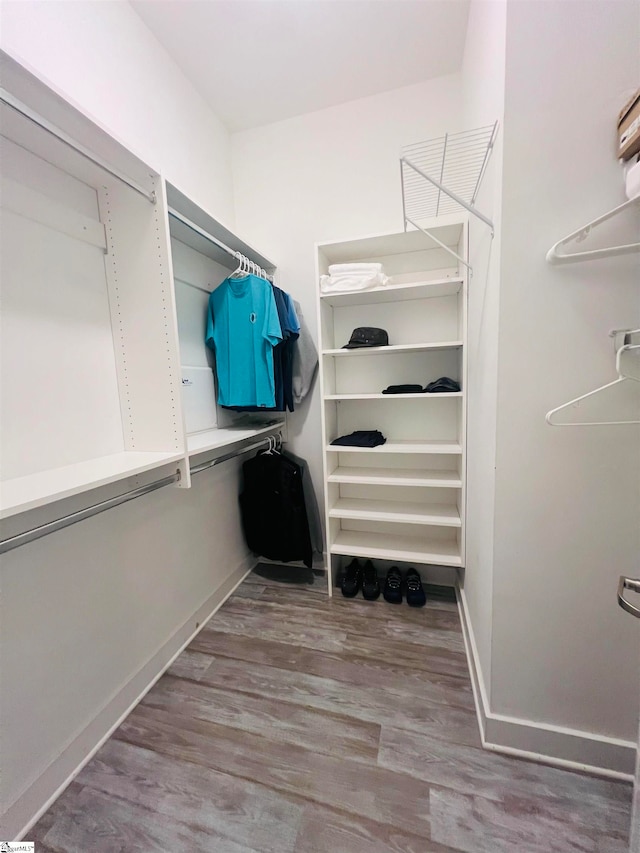 walk in closet featuring hardwood / wood-style floors