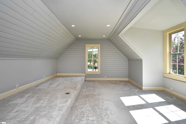 additional living space featuring light colored carpet, lofted ceiling, and a wealth of natural light