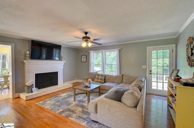 living room featuring ornamental molding, hardwood / wood-style floors, and a healthy amount of sunlight