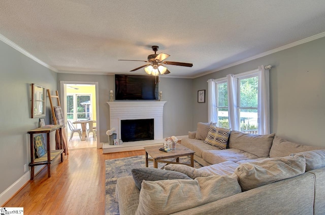 living room featuring light hardwood / wood-style floors, a textured ceiling, ceiling fan, and ornamental molding