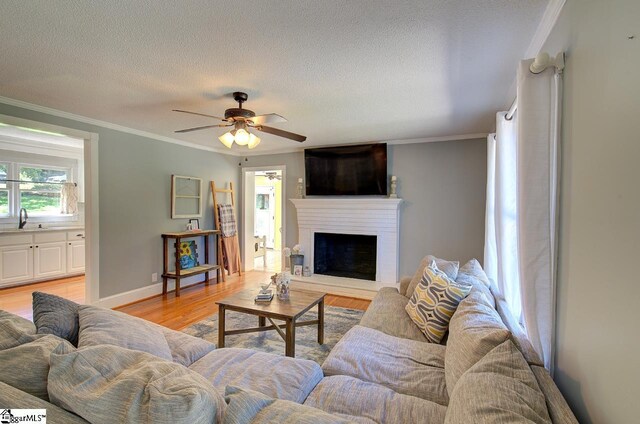 living room with a textured ceiling, ceiling fan, light hardwood / wood-style floors, ornamental molding, and sink