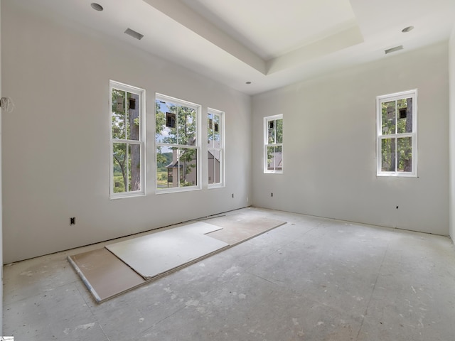 spare room featuring a raised ceiling and a healthy amount of sunlight