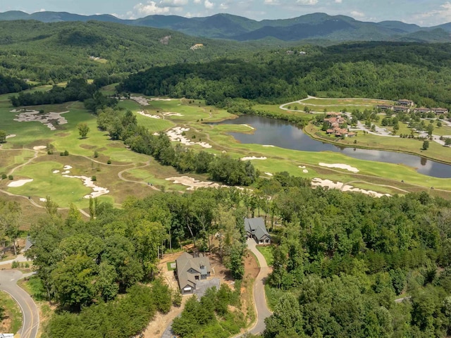 birds eye view of property with a water and mountain view