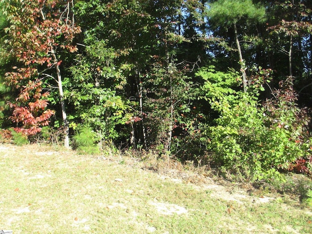 Jocassee Ridge Way Lot E-23, Salem SC, 29676 land for sale