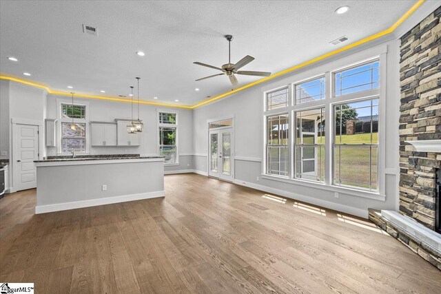 18 Double Crest Dr Lot 5, Taylors, SC 29685 - kitchen with white cabinets, a stone fireplace, wood-type flooring, and decorative light fixtures