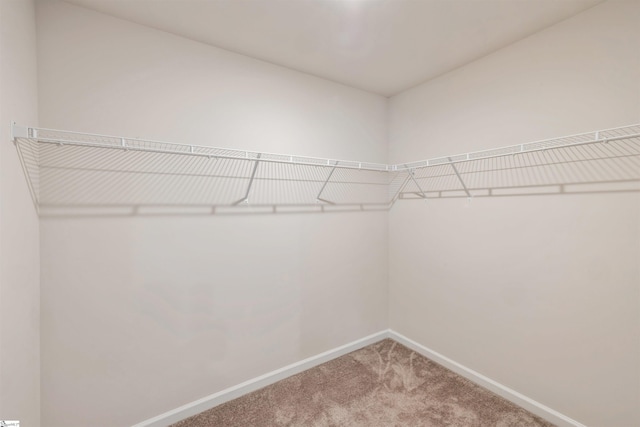 spacious closet with carpet flooring