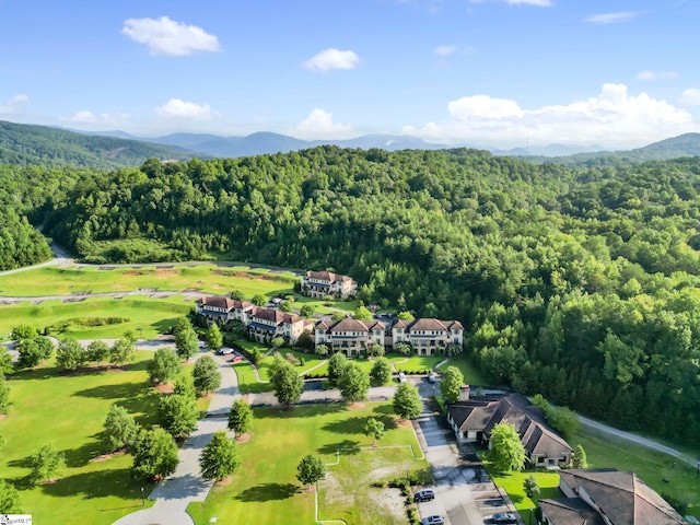 birds eye view of property with a mountain view