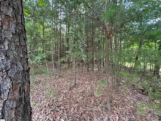 813 Chickasaw Pt, Westminster SC, 29693 land for sale