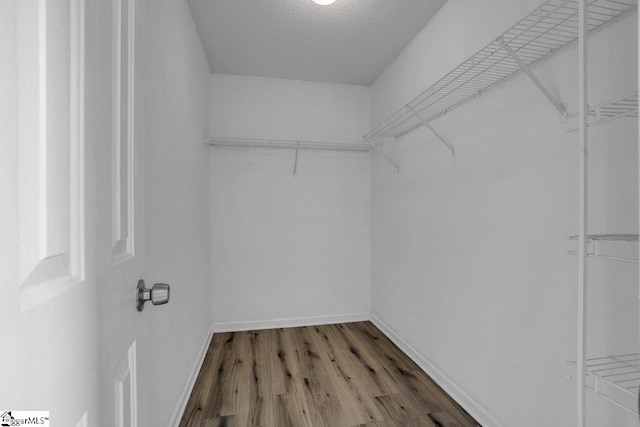 walk in closet featuring wood-type flooring