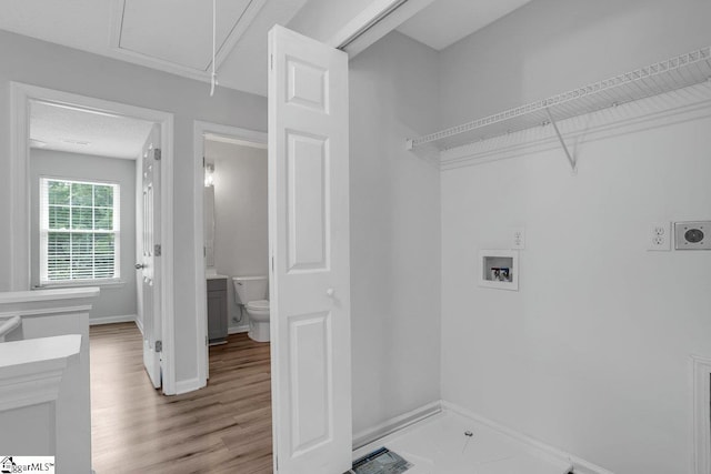 laundry room featuring light hardwood / wood-style flooring, hookup for a washing machine, and hookup for an electric dryer