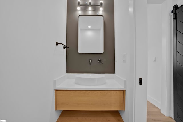 bathroom featuring hardwood / wood-style floors and vanity