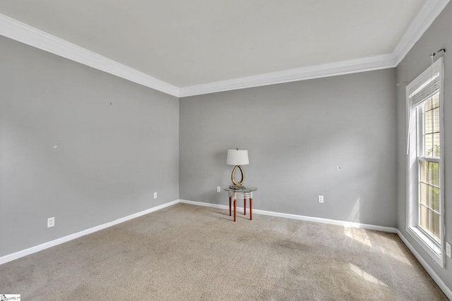 carpeted empty room featuring ornamental molding