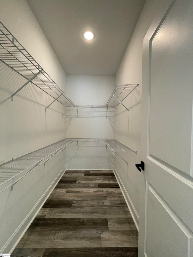 walk in closet featuring dark hardwood / wood-style floors