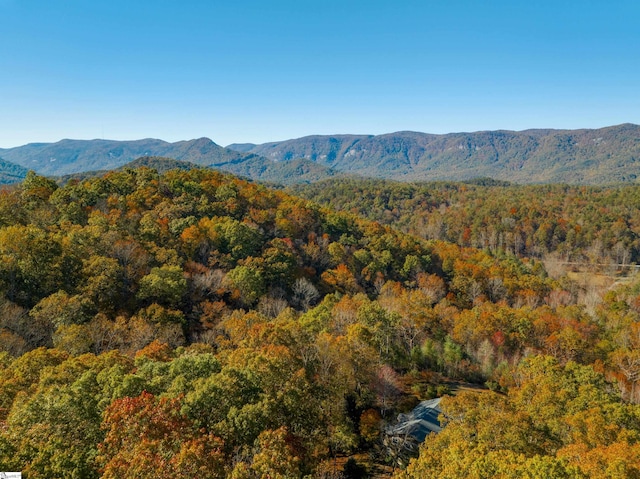 property view of mountains