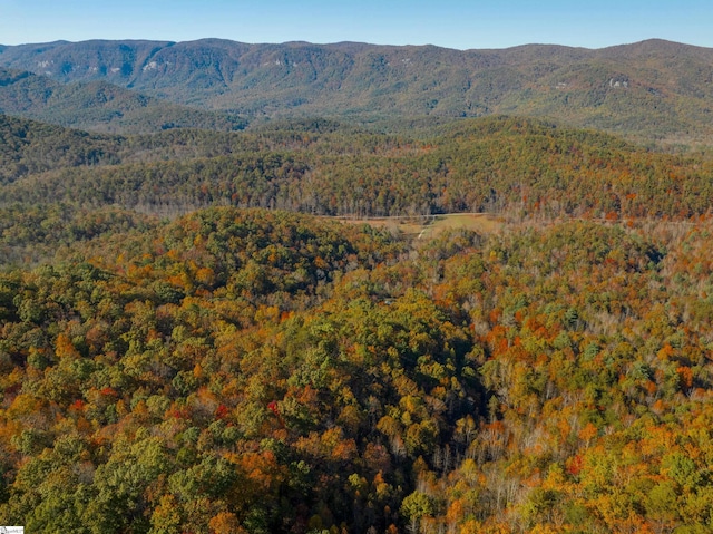 view of mountain feature