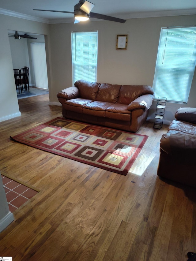 living room with a wealth of natural light, ceiling fan, and wood-type flooring