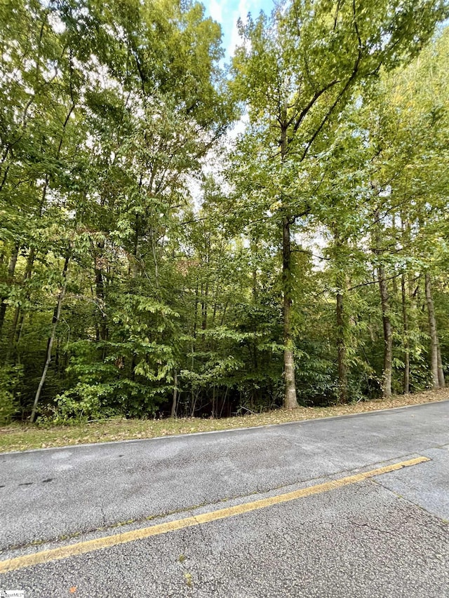 Pineneedle Dr, Westminster, SC 29693