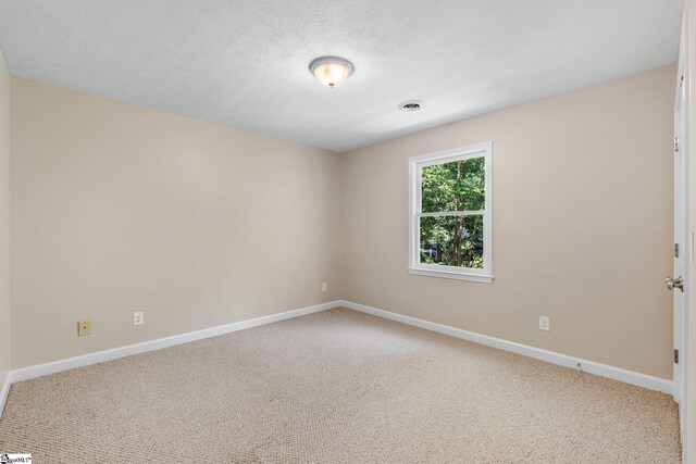 empty room featuring carpet flooring and a textured ceiling