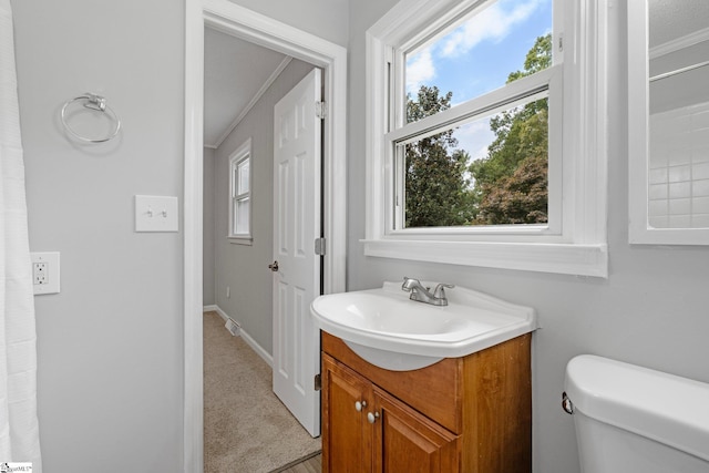 bathroom with toilet, vanity, and a wealth of natural light