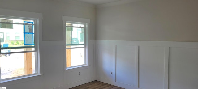 empty room featuring hardwood / wood-style flooring and a wealth of natural light