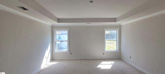 unfurnished room featuring a raised ceiling