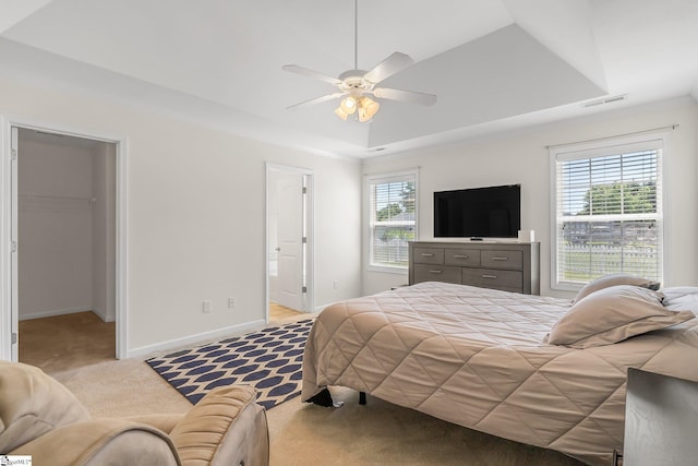 carpeted bedroom with ceiling fan, a raised ceiling, a closet, and a walk in closet