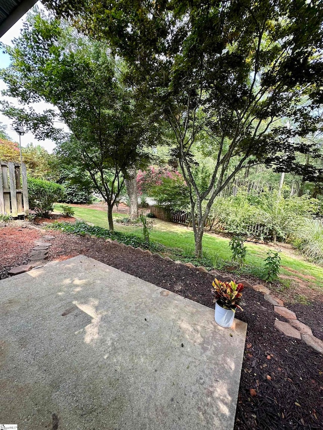 view of yard with a patio area