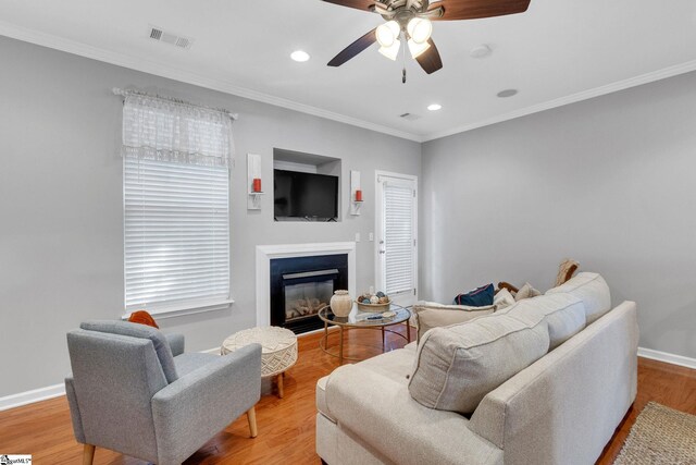 living room featuring ceiling fan, light wood-type flooring, plenty of natural light, and ornamental molding