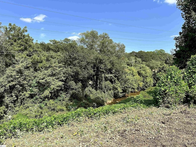 view of landscape featuring a view of trees